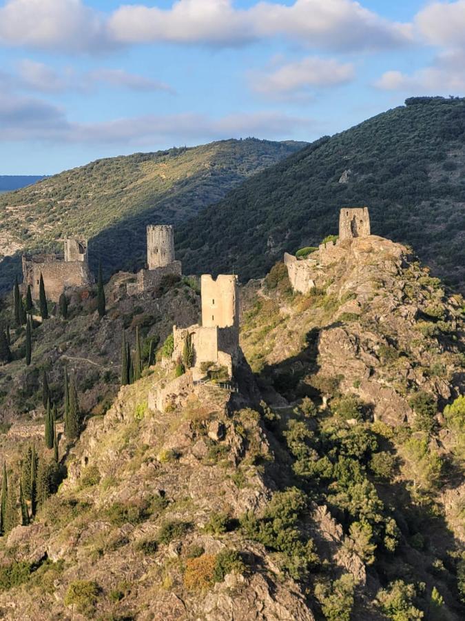 3 Star Surdespine Historic 4 Chateaux Lastours Air Conditioned Екстериор снимка