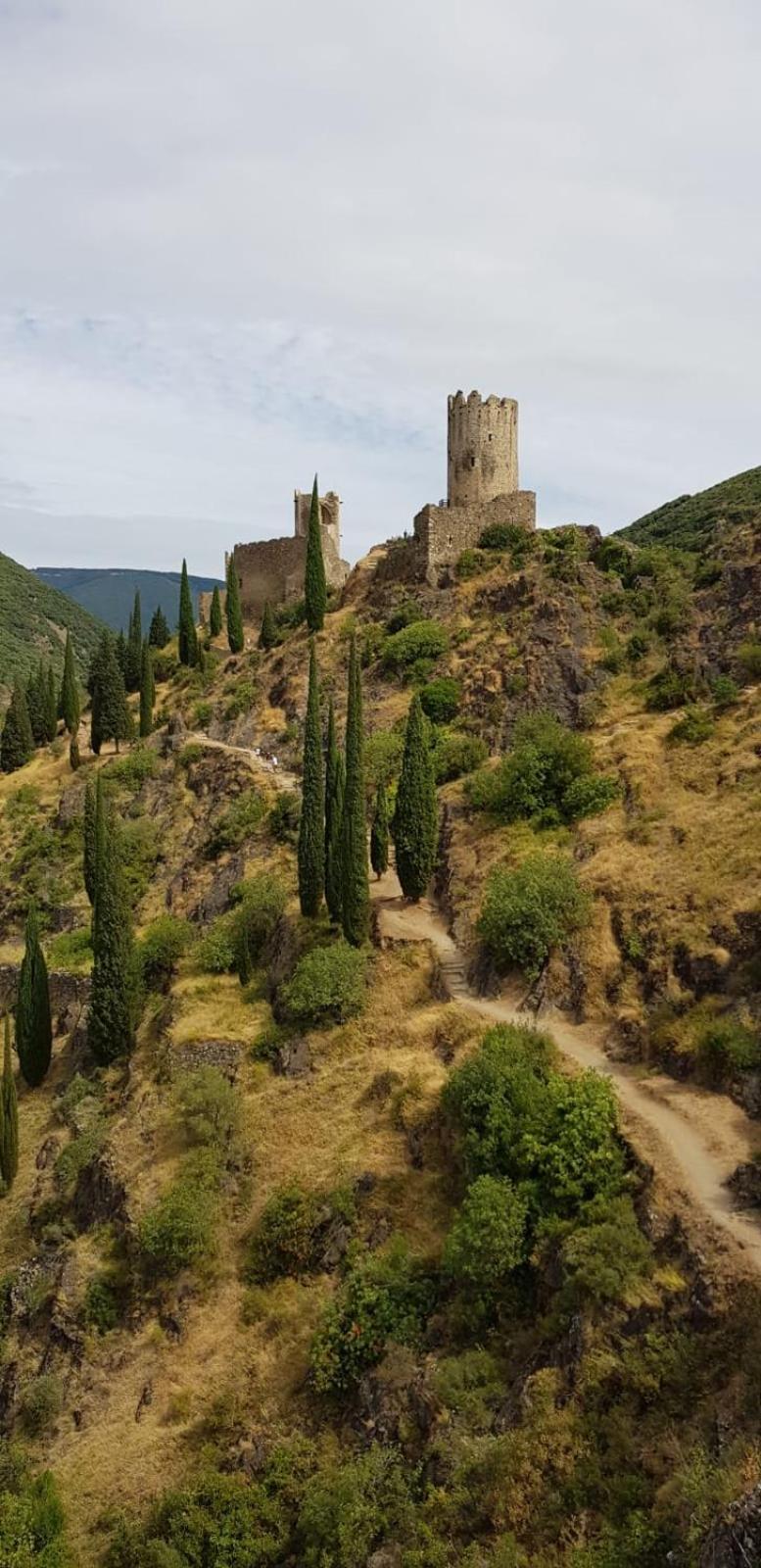 3 Star Surdespine Historic 4 Chateaux Lastours Air Conditioned Екстериор снимка
